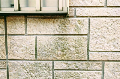 カビや苔の発生