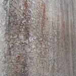 赤カビ（あかかび）-知っておきたい外壁塗装の用語