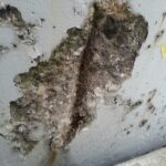 爆裂（ばくれつ）