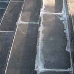 白華（はっか）