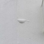 膨れ（ふくれ）