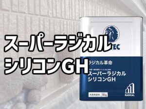 スーパーラジカルシリコンGH