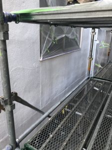 養生