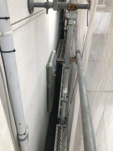 養生